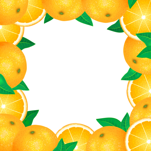 lemon frame vector lemon frame   
