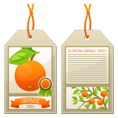 Creative fruit tags vector design 05 tags fruit creative   