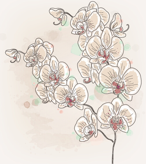 Hand drawn flower retor vector material 04 retor material hand flower drawn   