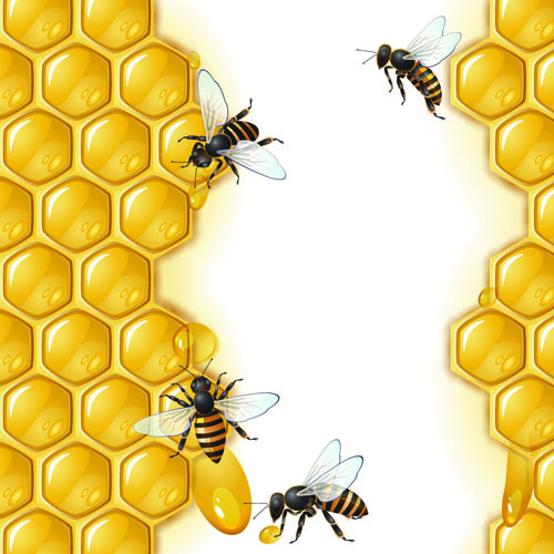 Realistic honey and bees vector graphics realistic honey bees   