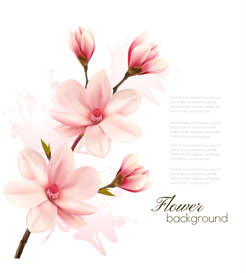 Pink magnolia flower background vector 05 pink magnolia flower background   