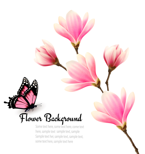 Pink magnolia flower background vector 03 pink magnolia flower background   