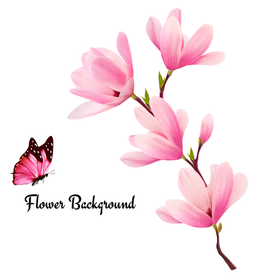 Pink magnolia flower background vector 02 pink magnolia flower background   