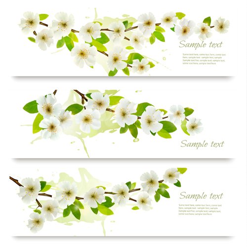 White flower spring banners vectors spring flower banners   