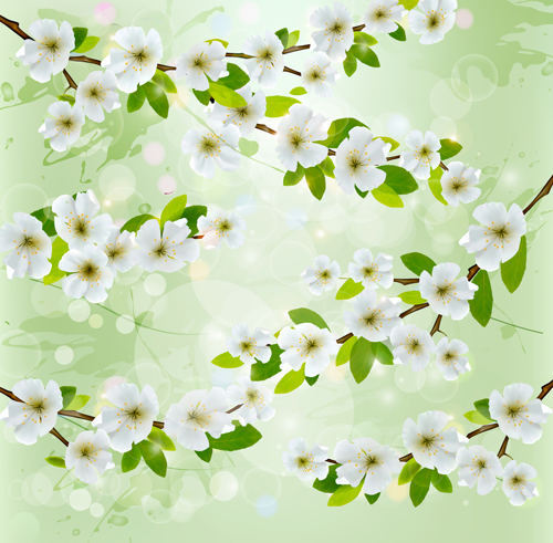 White flower with gree spring background vector white spring gree flower background   