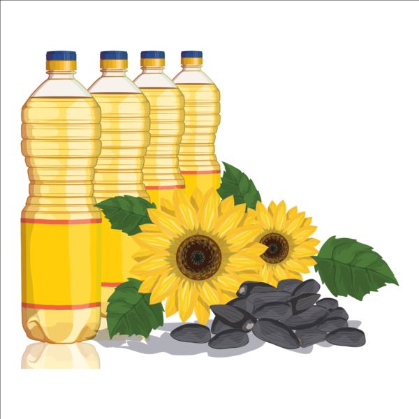 Sunflower seed oil vector material 04 sunflower seed oil   