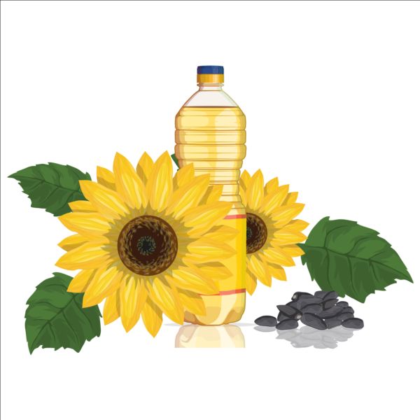 Sunflower seed oil vector material 03 sunflower seed oil   