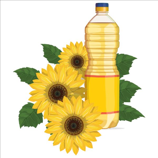 Sunflower seed oil vector material 02 sunflower seed oil   