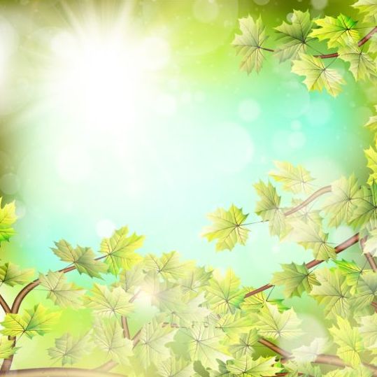 Summer green leaves with sunlight background vector 13 sunlight summer leaves green background   