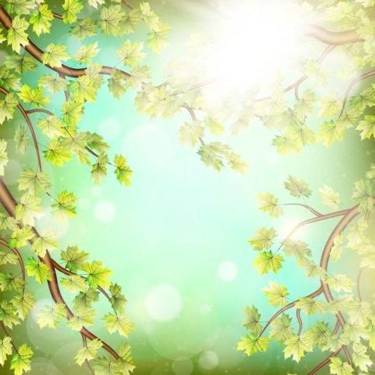 Summer green leaves with sunlight background vector 03 sunlight summer leaves green background   