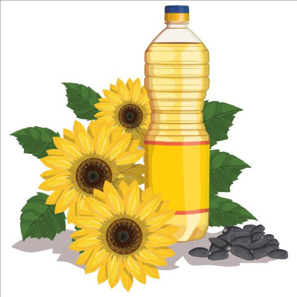 Sunflower seed oil vector material 01 sunflower seed oil   