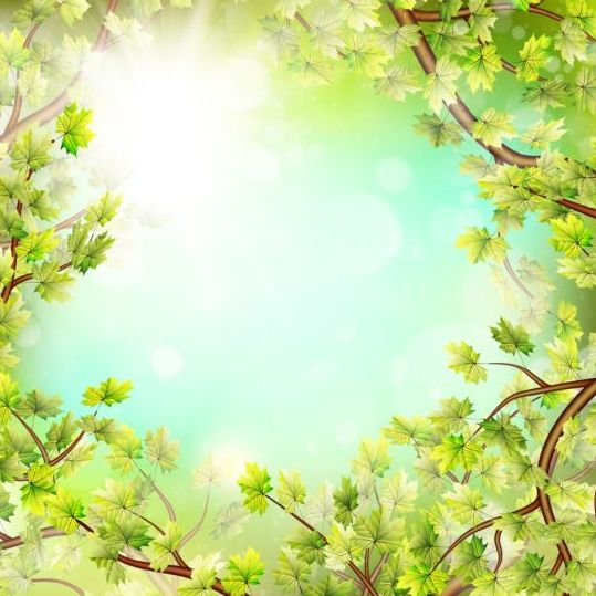 Summer green leaves with sunlight background vector 12 sunlight summer leaves green background   