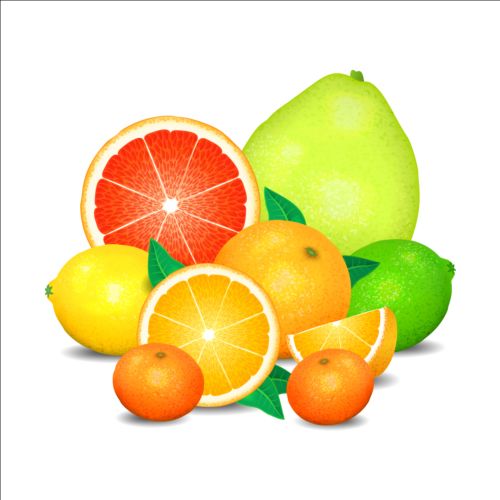 Fresh orange with lemon vector orange lemon fresh   