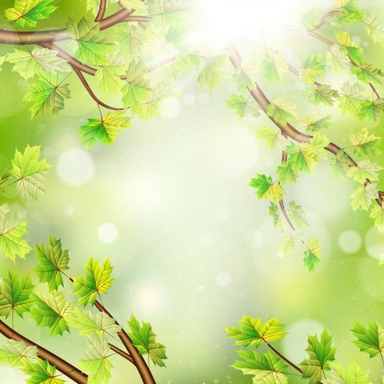 Summer green leaves with sunlight background vector 11 sunlight summer leaves green background   