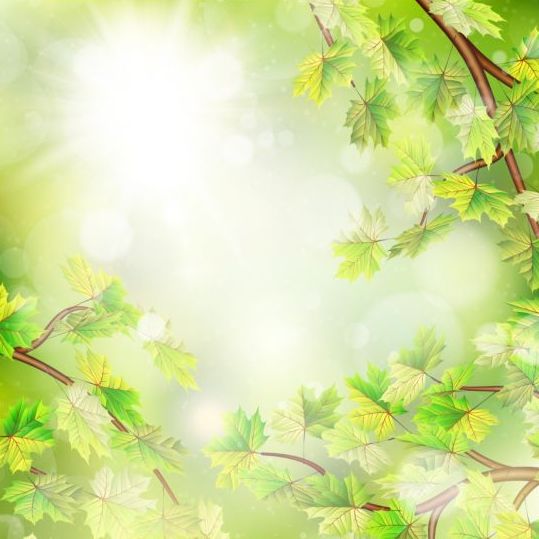 Summer green leaves with sunlight background vector 09 sunlight summer leaves green background   