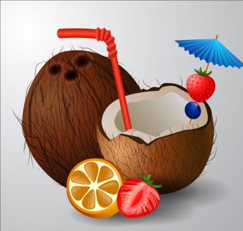 Coconut drink vector material 02 drink coconut   