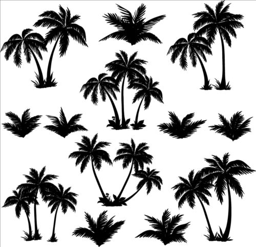 Palm tree silhouetter vector 02 tree silhouetter Palm   