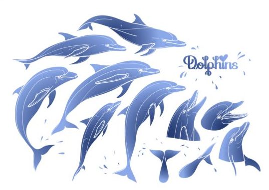 Blue dolphin with summer background vector 01 summer dolphin blue background   