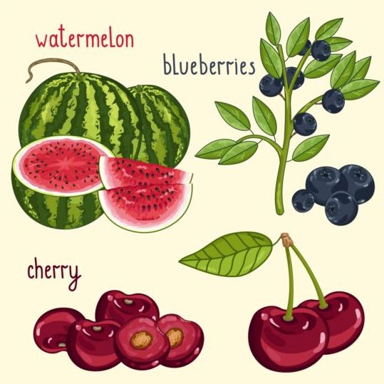 Fruit with name design vector 09 name fruit   
