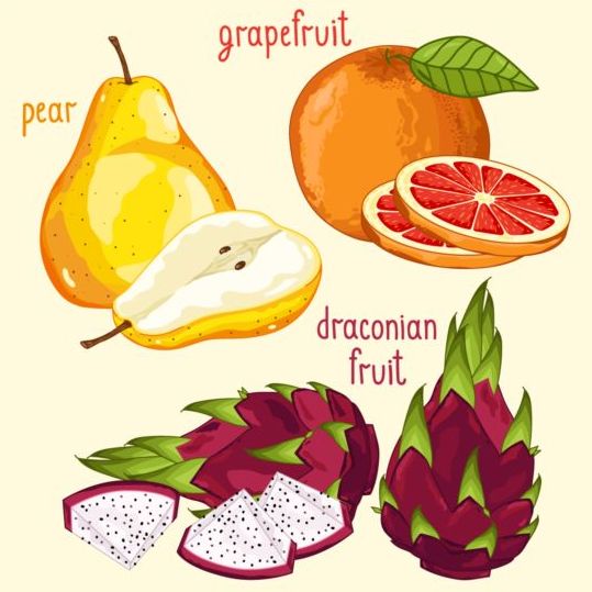 Fruit with name design vector 08 name fruit   