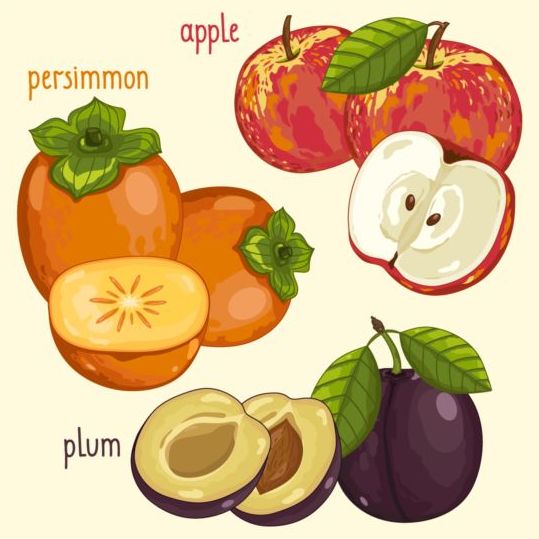 Fruit with name design vector 07 name fruit   