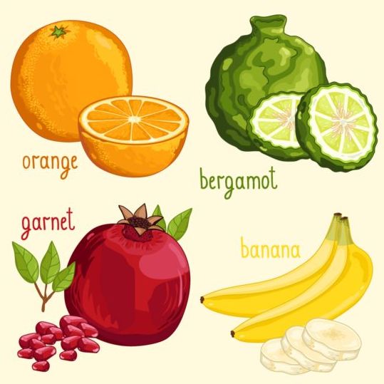 Fruit with name design vector 05 name fruit   