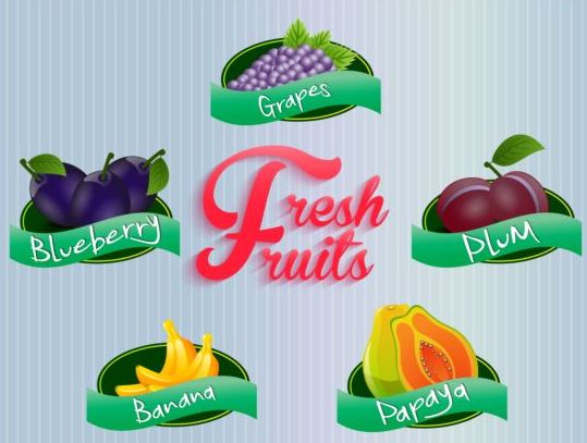 Fresh fruits labels vector set 02 labels fruits fresh   