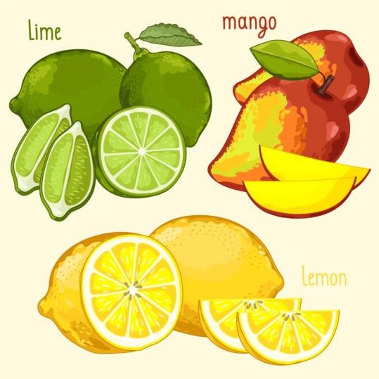 Fruit with name design vector 03 name fruit   