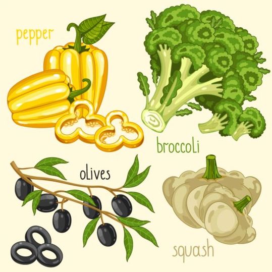 Vegetables with name design vector 03 vegetables name   