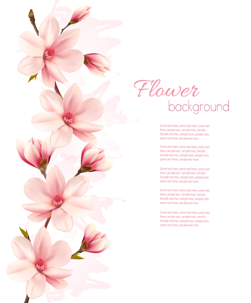 Spring nature background with pink magnolia vector spring pink nature magnolia background   