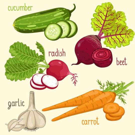 Vegetables with name design vector 01 vegetables name   