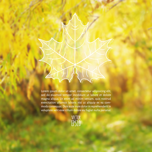 Autumn leaf outline with blurred background vector 05 outline leaf blurred background vector background   