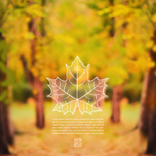 Autumn leaf outline with blurred background vector 04 outline leaf blurred background vector background   