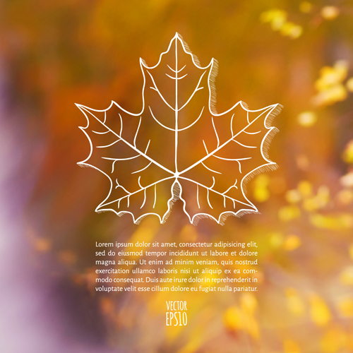 Autumn leaf outline with blurred background vector 03 leaf blurred background vector background autumn   