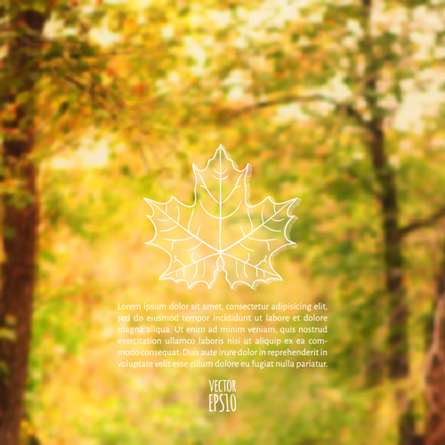 Autumn leaf outline with blurred background vector 01 outline leaf blurred background vector autumn   