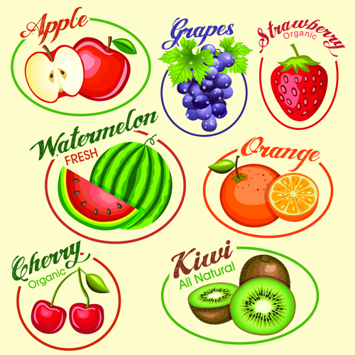 Fruits slice labels vector slice labels label fruits   