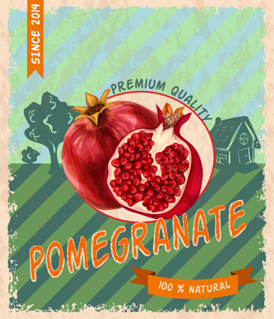 Retro grunge pomegranate poster vector Retro font poster pomegranate grunge   