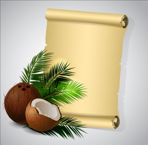 Paper scrolls with coconut background vector scrolls paper coconut background   