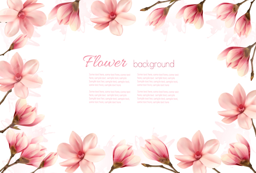 Pink magnolia flowers frame vector pink magnolia frame flowers   