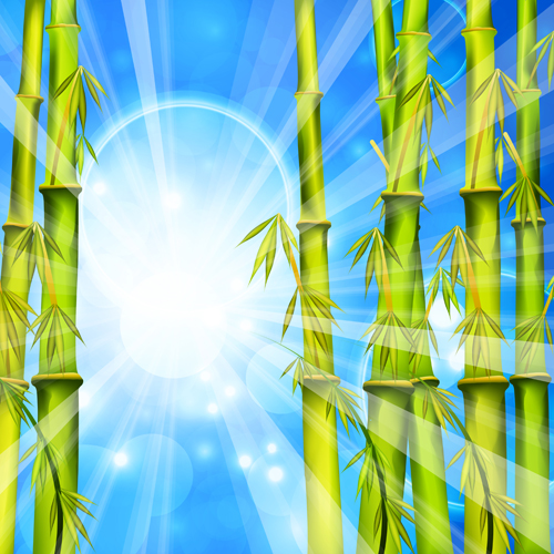 Shiny spring bamboo vector background material 03 Vector background material spring shiny bamboo background material background   