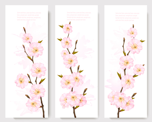 Spring banners with pink sakura vector material spring sakura pink banners   