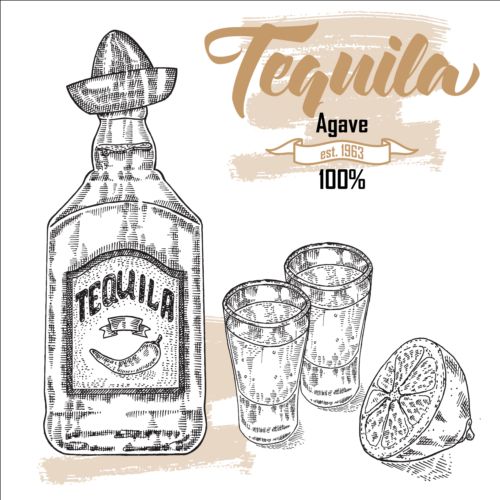Tequila with Bottle and glasses hand drawn vector 02 Tequila hand glasses drawn bottle   