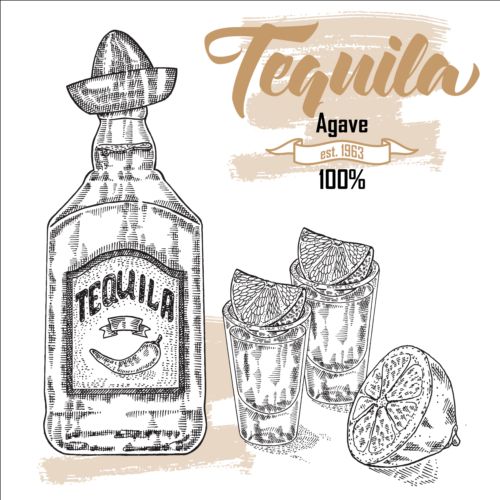 Tequila with Bottle and glasses hand drawn vector 01 Tequila hand glasses drawn bottle   