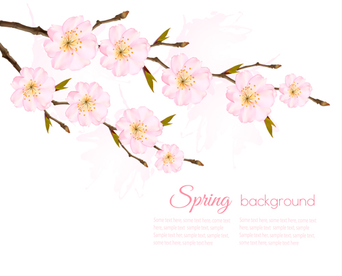 Spring background with pink sakura vector spring sakura pink background   