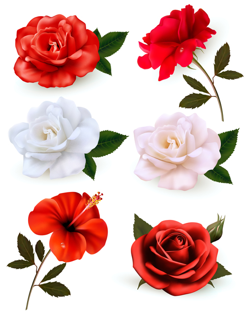 Colorful flowers illustration vector illustration flowers colorful   