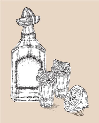 Tequila with Bottle and glasses hand drawn vector 04 Tequila hand glasses drawn bottle   