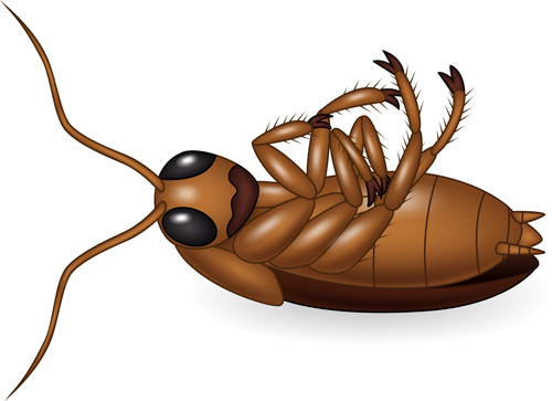 cartoon insect vector insect cartoon   