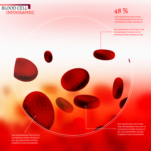 Creative blood cell infographic design vector 02 infographic creative cell blood   