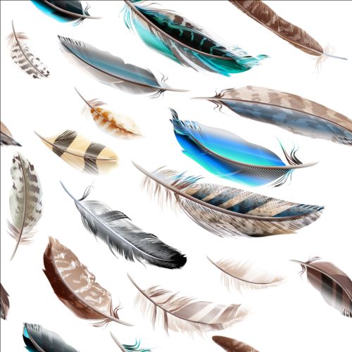 Fashion feathers seamless pattern vectors 01 seamless pattern feathers fashion   