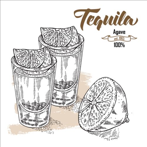 Tequila with lemon hand drawn vector 03 Tequila lemon hand drawn   